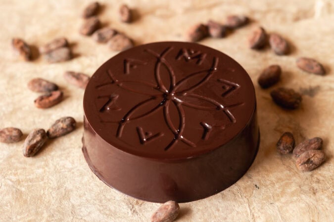 Cacao Liquor