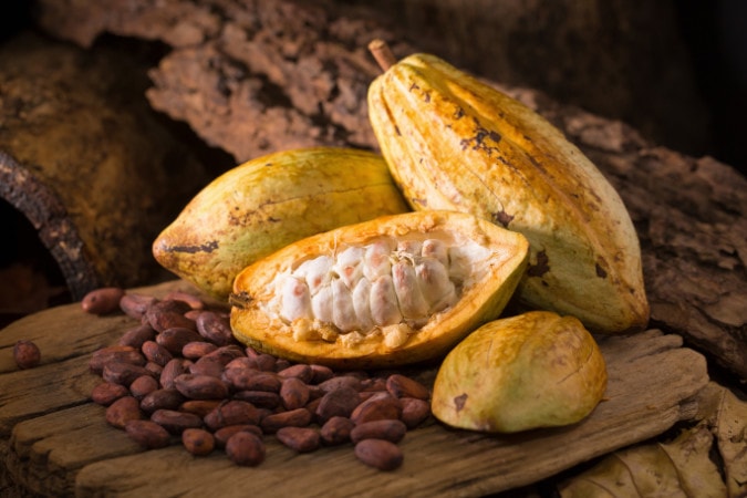 Cacao Pod With Fruit And Beans